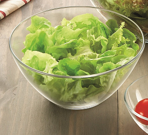 КОСМОС Салатник 17см LUMINARC стекло L4895 000000000001169160