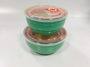 Набор салатников 2шт ELRINGTON АЭРОГРАФ Изумруд с крышками керамика 000000000001211165