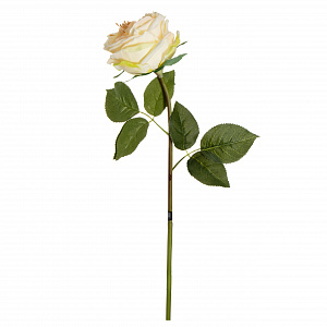 Цветок искусственный Пионовидная роза Real Touch 62см кремовая 000000000001218314
