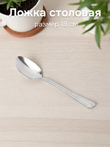 Ложка столовая 18см POINT нержавеющая сталь 000000000001222646