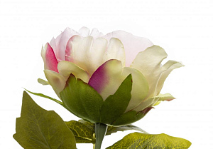 Цветок искусственный "Пион" 80см R010711 000000000001196624