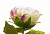 Цветок искусственный "Пион" 80см R010711 000000000001196624