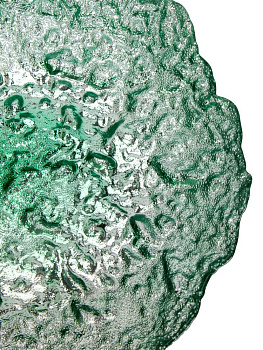 Блюдо сервировочное 25см стекло RMCA-0521-22-2 000000000001228285