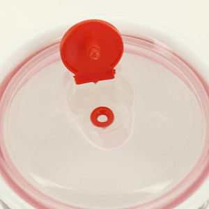 Набор салатников 2шт 280мл/540мл BALSFORD Аромат пластиковая крышка подарочная упаковка фарфор 000000000001205658