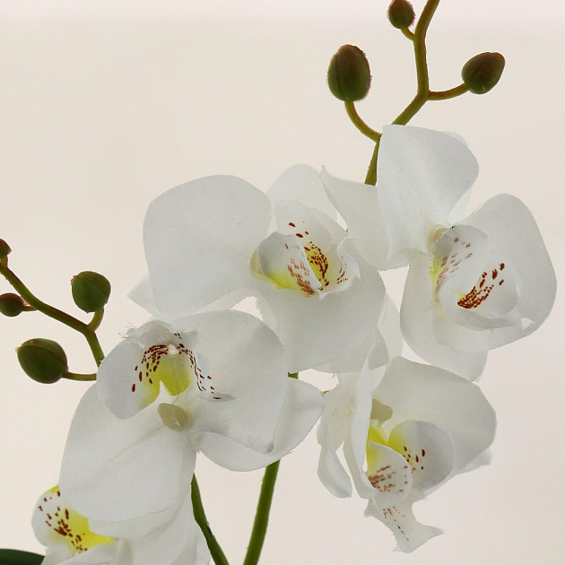 Цветок искусственный "Орхидея" 35см R010819 000000000001196717