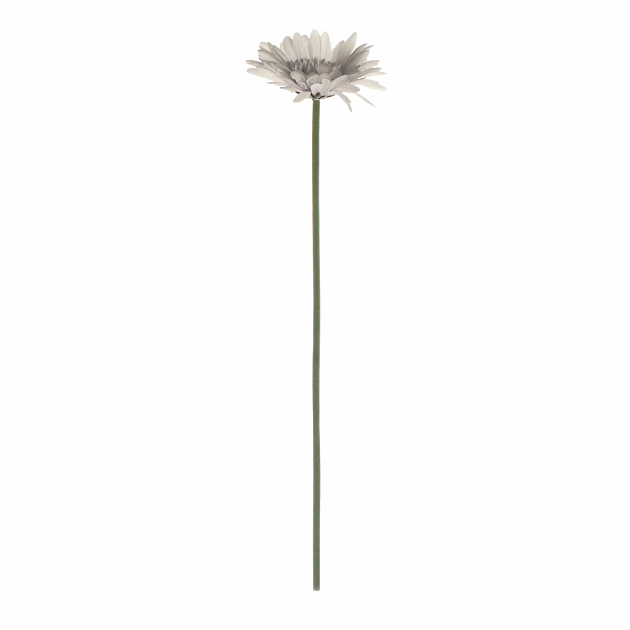 Цветок искусственный Гербера 55см белая 000000000001218357