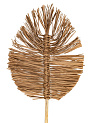 Сухоцветы 22x2x75см DE'NASTIA лист плетеный натуральный 000000000001228210