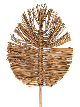 Сухоцветы 22x2x75см DE'NASTIA лист плетеный натуральный 000000000001228210