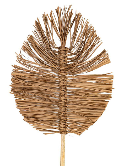 Сухоцветы 22x2x75см DE'NASTIA лист плетеный натуральный 000000000001228210