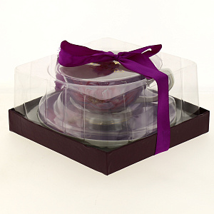 Пара чайная 200мл/блюдце BALSFORD Палитра ШИПОВНИК ВИОЛЕТ подарочная упаковка 000000000001183420