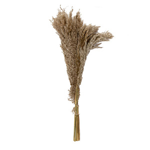 Цветок искусственный Сухоцвет Пампасная трава 10шт 60-70см 000000000001222190