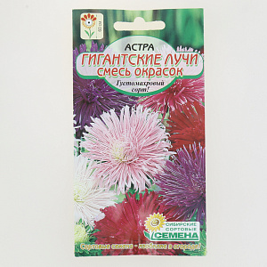 Семена Астра Гигантские лучи, смесь 0,3гр 60см (ссс) ЛИДЕР ПРОДАЖ! СС012685 пакет 000000000001194680