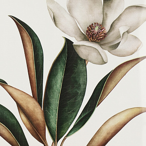 Картина на холсте 46х46. Экологически чистые краски и материалы, а также высококачественная печать делают изображение ярким и красоч 000000000001195666