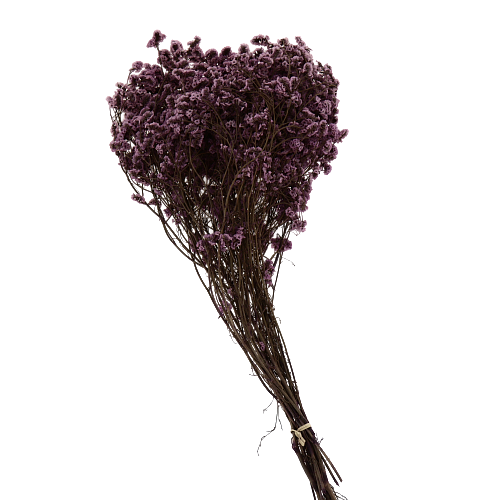 Цветок искусственный "Лимоуним" сухоцвет 70см R011092 000000000001199256