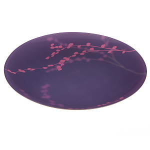 КАШИМА ПЕРПЛ Тарелка обеденная 25см LUMINARC G9324 000000000001074213