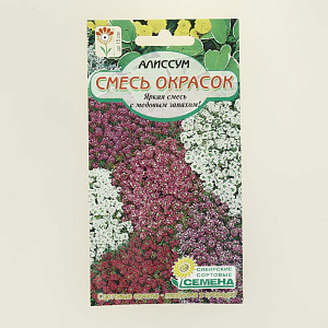 Семена Алиссум Смесь окрасок 0,1гр (ссс) ЛИДЕР ПРОДАЖ! СС013933 пакет 000000000001194768