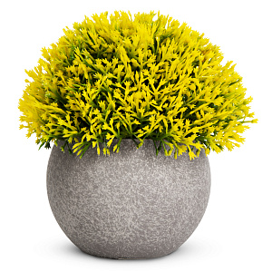 Цветок искусственный растение Хвойное 13см в горшке 000000000001218481