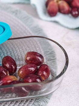 Контейнер для хранения продуктов 480мл PIANUT иранское стекло 000000000001205467