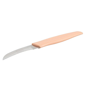 Нож для овощей 17см FACKELMANN Sumparty нержавеющая сталь 000000000001216504