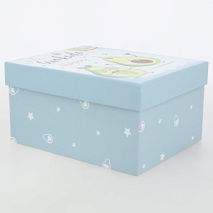 Коробка подарочная 23x19x13см РУТАУПАК AVOCADO blue 000000000001210676