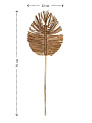 Сухоцветы 22x2x75см DE'NASTIA лист плетеный натуральный 000000000001228210
