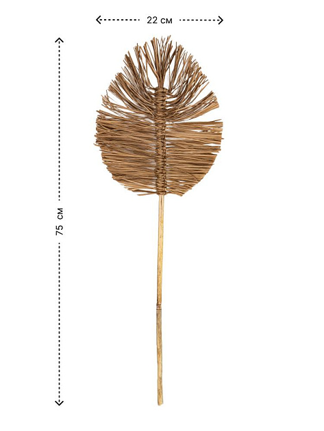 Сухоцветы 22x2x75см DE'NASTIA лист плетеный натуральный 000000000001228210