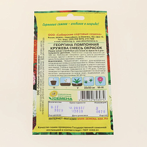 Семена Георгина Кружево, смесь окрасок помпонная 0,1гр (ссс) ЛИДЕР ПРОДАЖ! СС016259 пакет 000000000001194733