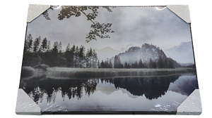 Репродукция 50х70см Декарт (1) мдф в39 8Л2651 000000000001205369