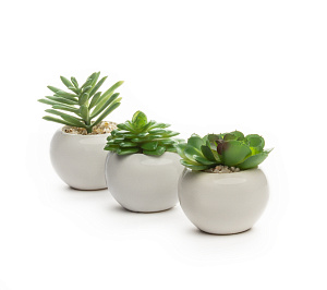 Цветок искусственный "Суккулент"  7смR010455 000000000001189319