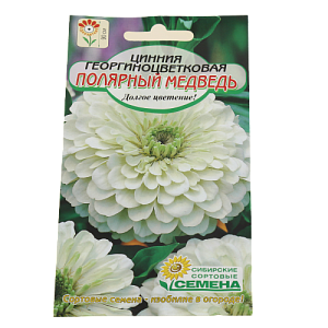 Семена Цинния Полярный медведь 0,3г (ссс) ЛИДЕР ПРОДАЖ! СС006789 пакет 000000000001194720
