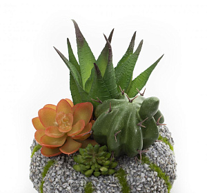 Цветок искусственный "Суккулент"11смR010443 000000000001189308