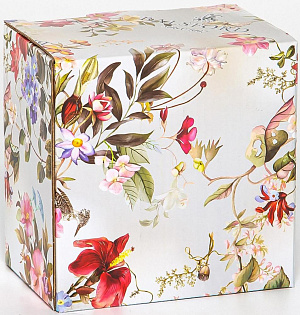 Набор салатников 2шт 280мл/540мл BALSFORD Аромат пластиковая крышка подарочная упаковка фарфор 000000000001205658