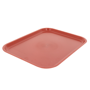 Поднос для продуктов 45,5х35,5х2,5см ОНЕСТ ударопрочный для заморозки пластик 000000000001200935