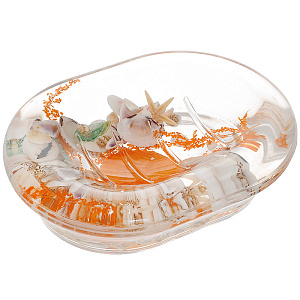 Мыльница Морское дно Dushy 000000000001021517