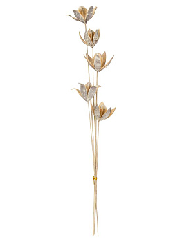 Сухоцветы 16x7x70см DE'NASTIA Лилия микс цветов 000000000001228193