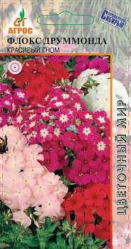 Семена Флокс 0,2г Друммонда Красивый гном 000000000001221417