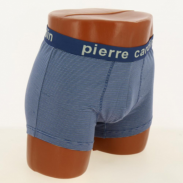 Боксеры мужские Pierre Cardin 00101, цветные, р.54-56 (состав:95%х/б, 5%эластан) 000000000001198269
