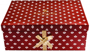 Набор чайный 13шт фарфор6чашек/6блюдец/чайник подарочная упаковка Грация Balsford 101-30010 000000000001197911