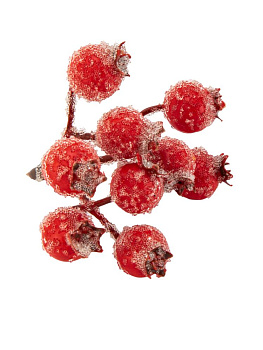 Ветка с ягодами для декора 9см шиповник в инее красный 000000000001228772