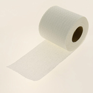 Туалетная бумага FORA 2 слоя 4 рулона 000000000001171922