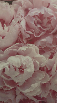 Репродукция 40х50см Декарт (1) мдф в61 8Л2992 000000000001205375