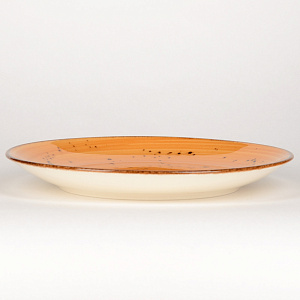 Набор столовой посуды 24 предмета TULU PORSELEN Deniz ORANGE фарфор 000000000001210096