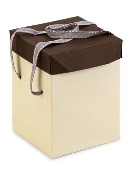 Коробка подарочная 10х10х13см КРАФТ в ассортименте картон 000000000001229166