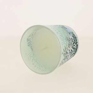 Ароматизированная свеча в стакане Новогоднее Дерево (Bright Christmas) 115гр 000000000001191677