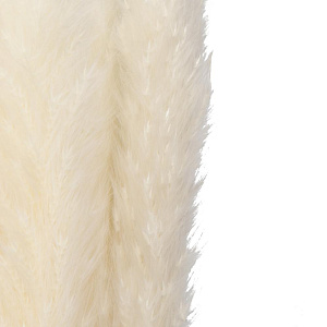 Цветок искусственный Сухоцвет Кортодерия 15шт 60-70см 000000000001222191