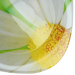 Плоская тарелка Carina Paquerette Green Luminarc 000000000001005313