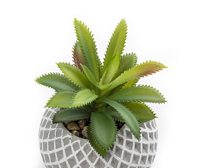 Цветок искусственный "Агава"  13 смR010466 000000000001189330