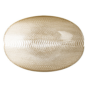 Блюдо овальное 25см GLASSCOM Рептилия Champagne стекло 000000000001211810