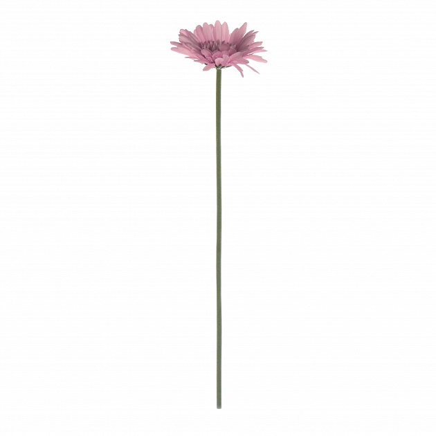 Цветок искусственный Гербера 55см розовая 000000000001218358