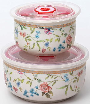 Набор салатников 2шт Balsford ТЕОДОРА (280мл, 560мл) с пластиковыми крышками подарочная упаковка фарфор 173-42020 000000000001203972